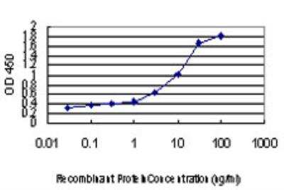 ELISA: IRX3 Antibody (3D8) [H00079191-M03]