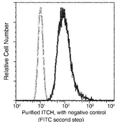 Flow Cytometry: ITCH/AIP4 Antibody (01) [NBP3-06616]