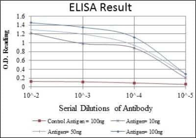 ELISA: ITK Antibody (5G6) - BSA Free [NBP2-37578]