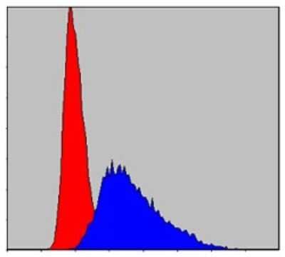 Flow Cytometry: ITK Antibody (5G6) - BSA Free [NBP2-37578]
