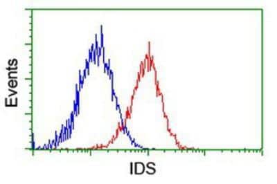 Flow Cytometry: Iduronate 2-Sulfatase/IDS Antibody (OTI1D9) [NBP2-01745]