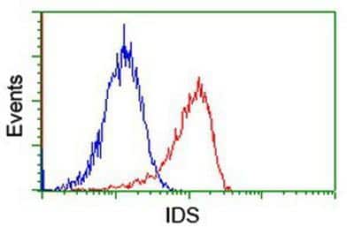 Flow Cytometry: Iduronate 2-Sulfatase/IDS Antibody (OTI1D9) [NBP2-01745]