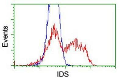 Flow Cytometry: Iduronate 2-Sulfatase/IDS Antibody (OTI1D9) [NBP2-01745]