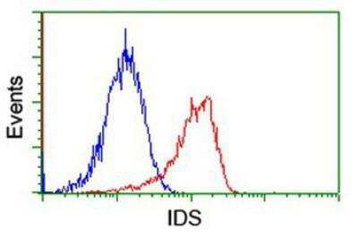 Flow Cytometry: Iduronate 2-Sulfatase/IDS Antibody (OTI4G2) [NBP2-01761]