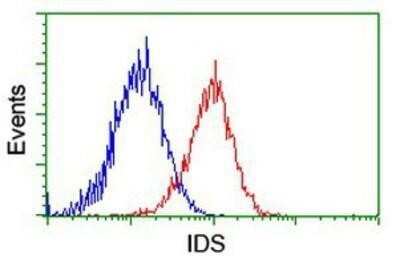Flow Cytometry: Iduronate 2-Sulfatase/IDS Antibody (OTI1D9) - Azide and BSA Free [NBP2-70994]