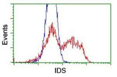 Flow Cytometry: Iduronate 2-Sulfatase/IDS Antibody (OTI1D9) - Azide and BSA Free [NBP2-70994]