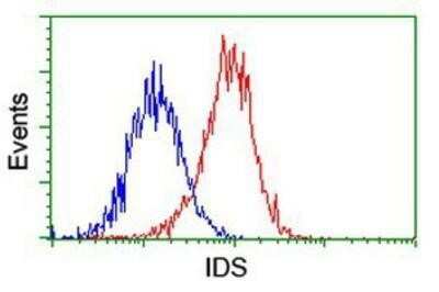Flow Cytometry: Iduronate 2-Sulfatase/IDS Antibody (OTI4G2) - Azide and BSA Free [NBP2-70996]