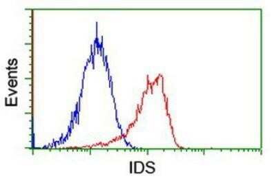 Flow Cytometry: Iduronate 2-Sulfatase/IDS Antibody (OTI4G2) - Azide and BSA Free [NBP2-70996]