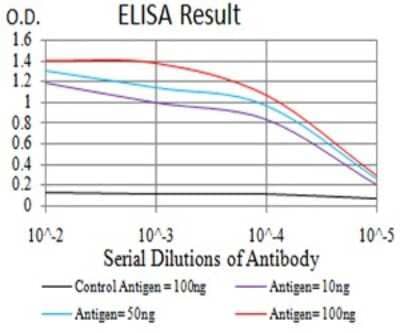 ELISA: IgA Antibody (7D5F12) - BSA Free [NBP2-61794]