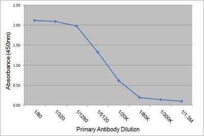 ELISA: IgE Antibody (3H10) [NBP3-11623]