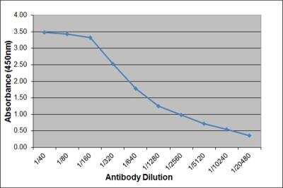 ELISA: IgE Antibody (3H10) [NBP3-11623]