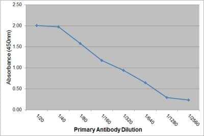 ELISA: IgE Antibody (7H2) [NBP3-11624]