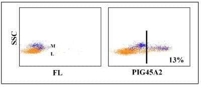 Flow Cytometry: IgM Antibody (PIG45A2) [NBP2-61070]