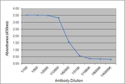 ELISA: IgY Antibody (161.3E6) [NBP3-11634]