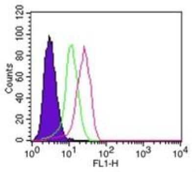 Flow Cytometry: IkB-alpha Antibody (6A920) - BSA Free [NB100-56507]