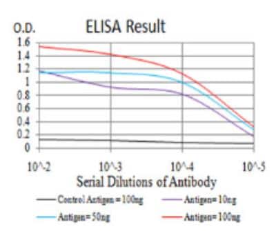 ELISA: Importin alpha 2/KPNA2 Antibody (1E8B7) - BSA Free [NBP2-52501]