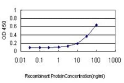 ELISA: Importin alpha 5/KPNA1/SRP1 Antibody (2A4-1B5) [H00003836-M01]