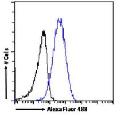 Flow Cytometry: Importin beta/KPNB1 Antibody [NB100-40784]