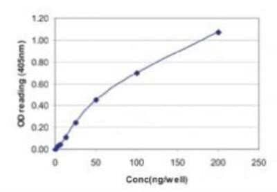 ELISA: Influenza A H1N1 Nucleoprotein Antibody [NB100-56570]