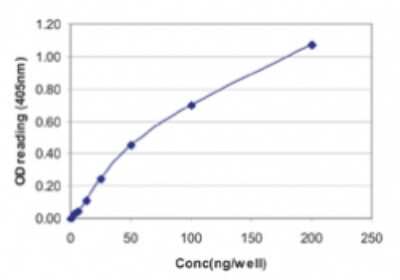 ELISA: Influenza A H1N1 Nucleoprotein Antibody (2F205) - BSA Free [NBP2-24871]