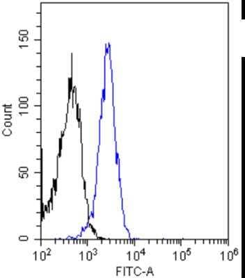 Flow Cytometry: Insulin R/CD220 Antibody (83-14) - Chimeric - Azide and BSA Free [NBP2-81038]