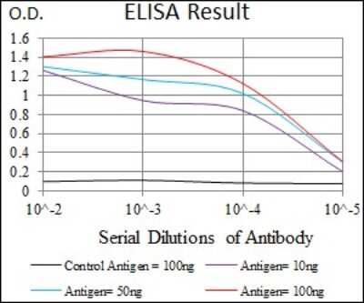 ELISA: Integrin alpha 2b/CD41 Antibody (2E10C9) - BSA Free [NBP2-37384]