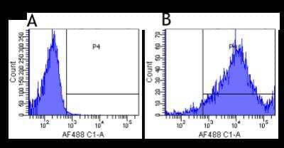 Flow Cytometry: Integrin alpha 2b/CD41 Antibody (7E3 (Abciximab)) - Chimeric - Azide and BSA Free [NBP2-81051]