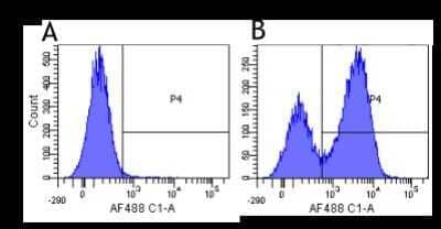 Flow Cytometry: Integrin alpha 4/CD49d Antibody (Natalizumab) - Chimeric - Azide and BSA Free [NBP2-75917]