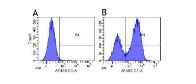 Flow Cytometry: Integrin alpha 4/CD49d Antibody (Natalizumab) - Azide and BSA Free [NBP2-75916]