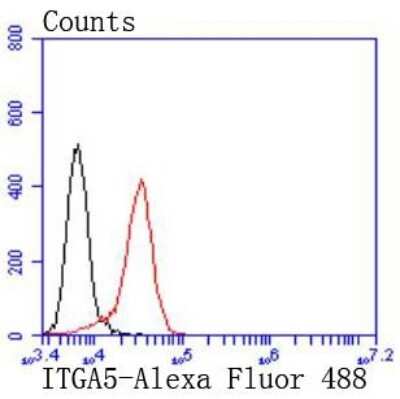 Flow Cytometry: Integrin alpha 5/CD49e Antibody (JJ08-94) [NBP2-67883]