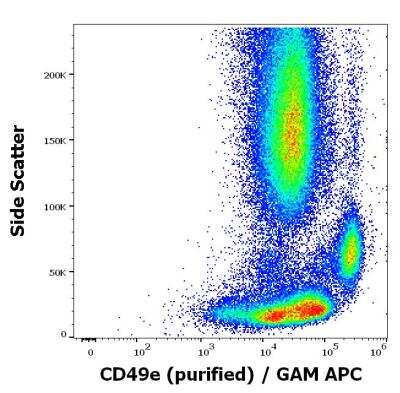 Flow Cytometry: Integrin alpha 5/CD49e Antibody (SAM1) [NBP3-18529]