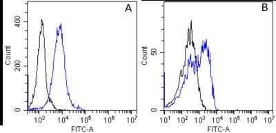 Flow Cytometry: Integrin alpha 5 beta 1 Antibody (M200 (Volociximab)) - Azide and BSA Free [NBP2-75909]