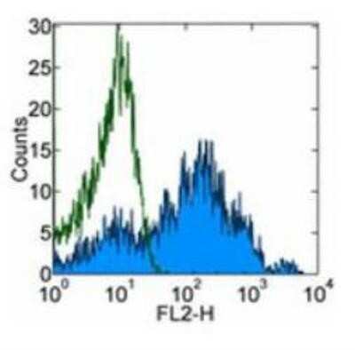 Flow Cytometry: Integrin alpha 6/CD49f Antibody (GoH3) - Azide and BSA Free [NBP2-80815]
