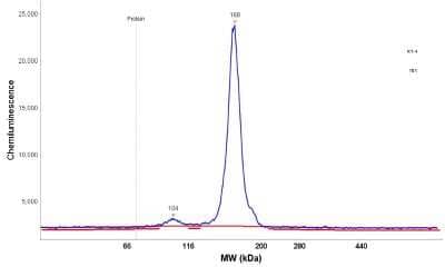 Simple Western: Integrin alpha 6/CD49f Antibody [NBP1-85747]