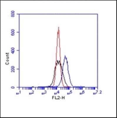 Flow Cytometry: Integrin alpha V beta 3 Antibody (BV3) [NBP3-11213]