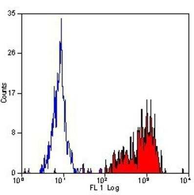 Flow Cytometry: Integrin beta 1/CD29 Antibody (12G10) - BSA Free [NB100-63255]