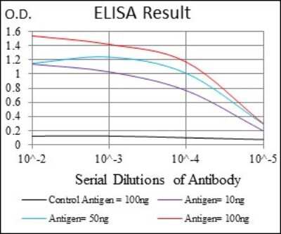 ELISA: Integrin beta 1/CD29 Antibody (3B6) - BSA Free [NBP2-22191]
