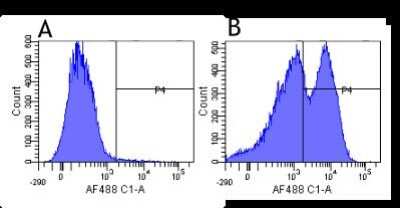 Flow Cytometry: Integrin beta 1/CD29 Antibody (K20) - Chimeric - Azide and BSA Free [NBP2-52665]