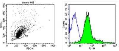 Flow Cytometry: Integrin beta 2/CD18 Antibody (2E6) - Azide and BSA Free [NBP2-22433]