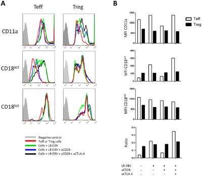 Flow Cytometry: Integrin beta 2/CD18 Antibody (YFC118.3) - BSA Free [NB200-610]