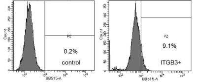 Flow Cytometry: Integrin beta 3/CD61 Antibody (VIPL2) - BSA Free [NBP1-97563]