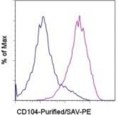 Flow Cytometry: Integrin beta 4/CD104 Antibody (439-9B) - BSA Free [NBP1-43369]