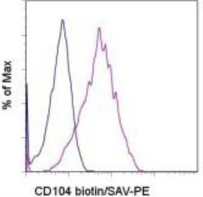 Flow Cytometry: Integrin beta 4/CD104 Antibody (439-9B) - BSA Free [NBP1-43369]