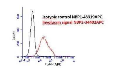Flow Cytometry: Involucrin Antibody (SPM259) - Azide and BSA Free [NBP2-34402]