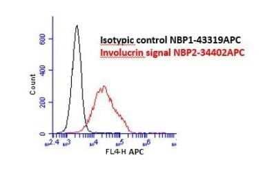 Flow Cytometry: Involucrin Antibody (SPM259) [NBP2-34354]
