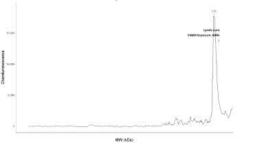 Simple Western: Involucrin Antibody [NBP2-33742]