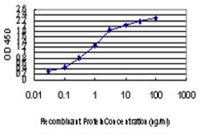 ELISA: Iroquois-class homeodomain protein IRX-5 Antibody (6A9) [H00010265-M10]