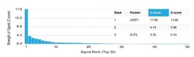 Protein Array: JAZF1 Antibody (PCRP-JAZF1-1C2) - Azide and BSA Free [NBP3-14221]