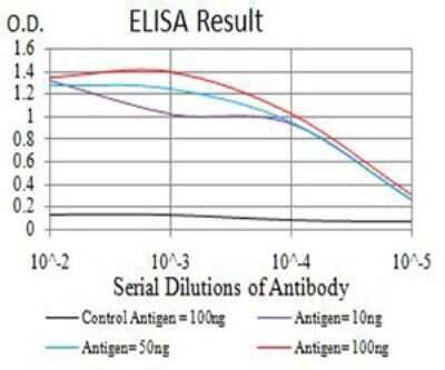 ELISA: JMJD2B Antibody (3A6H6) - BSA Free [NBP2-61800]