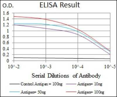 ELISA: JNK1 Antibody (1E5) - BSA Free [NBP2-22209]